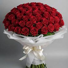 Букет 101 Красная роза Блэк Мэджик в Ельце