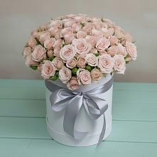 Цветочная композиция из Розы в шляпной коробке #REPLACE_PRED# Ельце