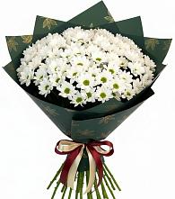 Букет цветов из:  Хризантемы #REPLACE_PRED# Ельце