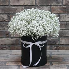 Цветочная композиция из Гипсофила в шляпной коробке в Ельце