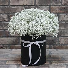 Цветочная композиция из Гипсофила в шляпной коробке в Ельце