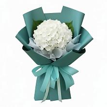Букет цветов из:  Гортензия #REPLACE_PRED# Ельце